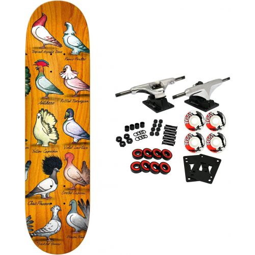  Anti Hero Skateboards Anti Hero Skateboard Complete Pfanner Show Pigeons 8.06 x 31.8 Assorted Colors