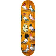 Anti Hero Skateboards Anti Hero Skateboard Deck Pfanner Show Pigeons 8.06 x 31.8 Assorted Colors
