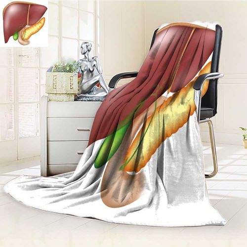  Aolankaili Decorative Throw Blanket Ultra-Plush Comfort Pancreas Liver Duodenum and Gall Bladder Soft, Colorful, Oversized | Home, Couch, Outdoor, Travel Use(60x 50)