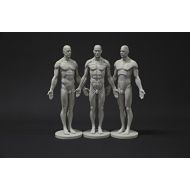 Aphrodite Male Anatomy Figure Collection: Planar, Ecorche and Skin - Anatomical Reference for Artists