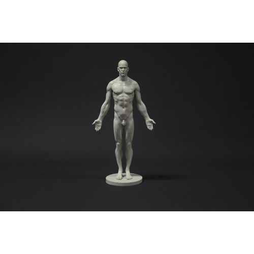  Aphrodite Male Anatomy Figure Collection: Planar, Ecorche and Skin - Anatomical Reference for Artists