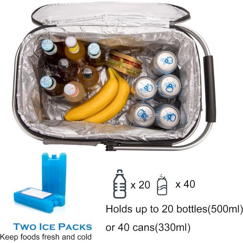  apollo walker Lightweight Picnic Basket Insulated Cooler Bags for 4 Person 32L Large Family Size with 2 Ice Packs(Dark Gray)