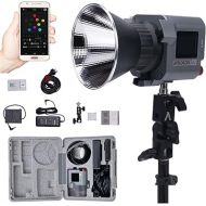 Amaran COB 60x S 60x-s 60xs 65W Bi-Color LED Video Light 2700k-6500k Bowens Mount Studio LED with App Control, for Filmmaking Live Streaming Videography (60x Upgrade)