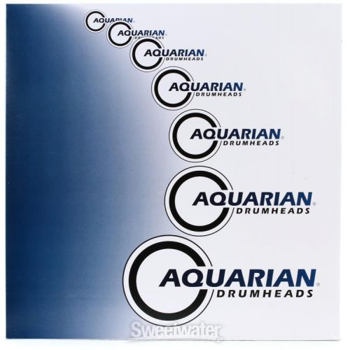  Aquarian Reflector Ice White Drumhead - 15 inch