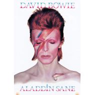 Aquarius David Bowie Aladdin Sane 8 x 11.5 Tin Sign