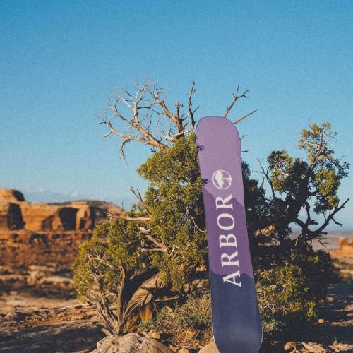  Arbor Swoon Camber Snowboard - Womens