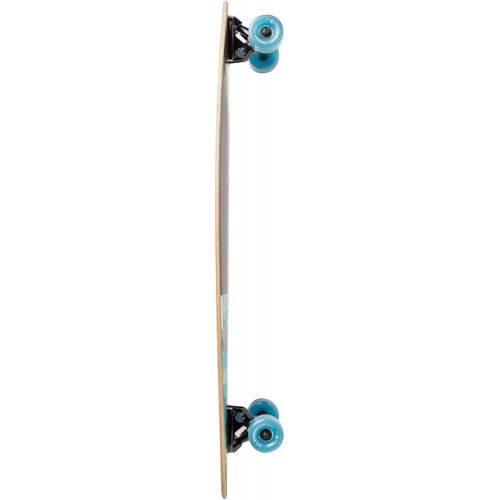  Arbor Skateboards Arbor Groundswell Fish Longboard Complete