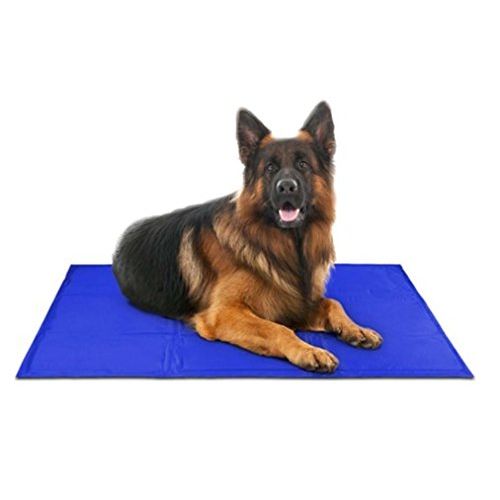  Arf Pets Pet Dog Self Cooling Mat Pad for Kennels, Crates and Beds