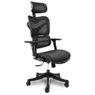 Argomax Ergonomic Mesh Office Chair High Back with Adjustable Headrest/Tilt Back/Tension/Lumbar Support/Armrest/Seat Breathable High End Computer Desk Chair 360 Swivel Self Adaptiv