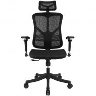 Argomax Ergonomic Mesh Office Chair High Back Swivel Desk Chair Adjustable Headrest Armrest Tilt Back and Tension