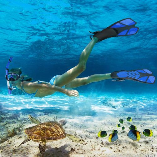  Aritan Snorkeling Snorkel Package Set, Anti-Leak Anti-Fog Coated Glass Diving Panoramic View Clear Tempered Glass Mask, Dry Top Soft Mouthpiece Snorkel Tube, Snorkeling Gear Bag