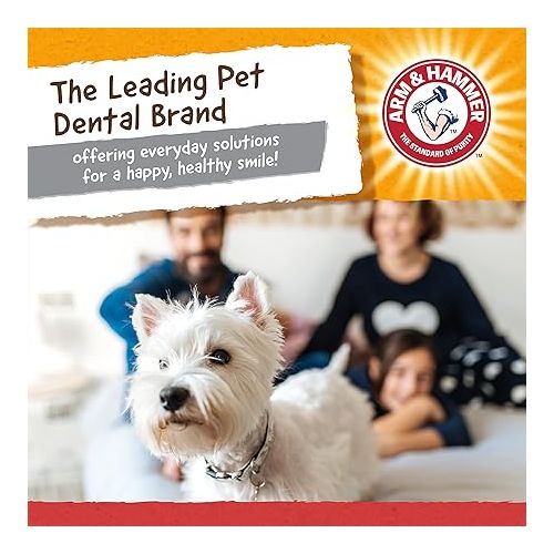  Arm & Hammer for Pets Nubbies Wishbone Dog Dental Toy| Best Dog Chew Toy for Moderate Chewers | Dog Dental Toy Helps Reduce Plaque & Tartar | Chicken Flavor Baking Soda (Pack of 1)