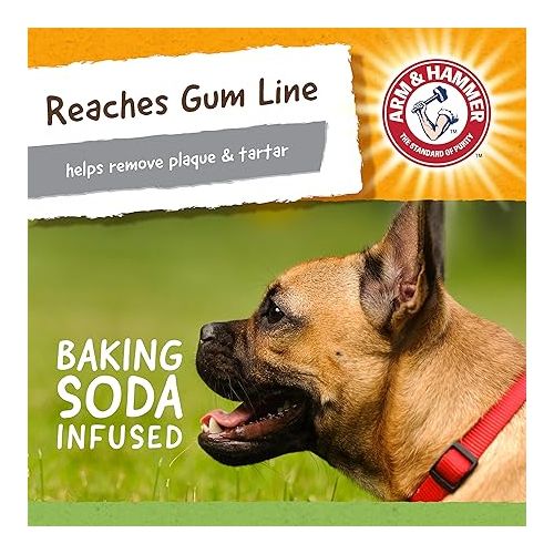  Arm & Hammer for Pets Nubbies Wishbone Dog Dental Toy| Best Dog Chew Toy for Moderate Chewers | Dog Dental Toy Helps Reduce Plaque & Tartar | Chicken Flavor Baking Soda (Pack of 1)