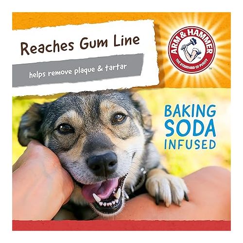  Arm & Hammer for Pets Nubbies Wishbone Dog Dental Toy| Best Dog Chew Toy for Moderate Chewers | Dog Dental Toy Helps Reduce Plaque & Tartar | Chicken Flavor Baking Soda (Pack of 1)