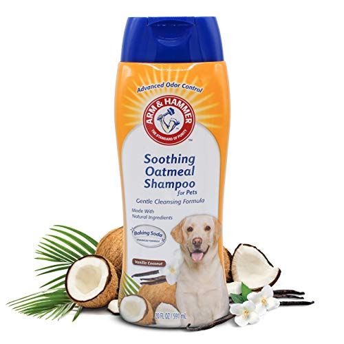  [무료배송]Arm & Hammer for Pets Soothing Oatmeal Pet Shampoo, Vanilla Coconut-Moisturizing Dog Shampoo from Arm and Hammer-Shampoo for Pets, Dog Shampoo for Smelly Dogs, Dog Oatmeal Shampoo