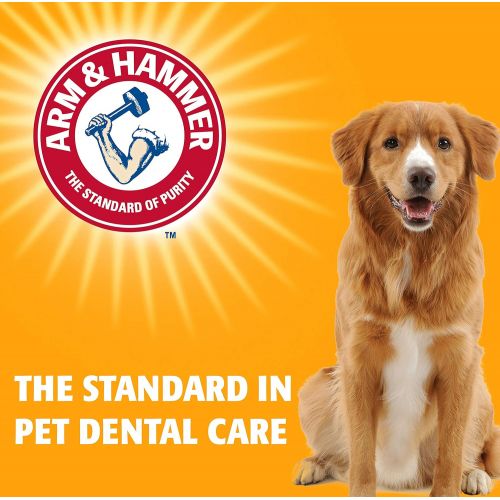  Arm & Hammer for Pets Arm & Hammer Clinical Care Dental Gum Health Enzymatic Toothpaste for Dogs | Soothes Inflamed Gums | Safe for Puppies, Beef Flavor