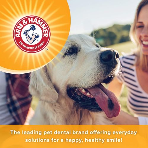  Arm & Hammer for Pets Arm & Hammer Tartar Control Dental Solutions for Dogs | Dog Toothpaste, Toothbrush, Water Additive & Dental Sprays | Vital to Your Dogs Health