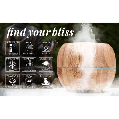  Artnaturals Pure Essential Oil Set (16x10mL) - 100% Natural Aromatherapy for Oil Diffuser