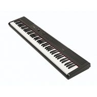 Artesia PA-88W Digital Piano (Black) 88-Key With 12 Dynamic Voices and Semi-weighted Action + Power Supply + Sustain Pedal