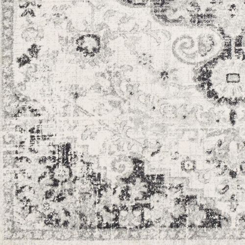  WorldWeavers Odelia Beige Updated Traditional Area Rug 27 x 73