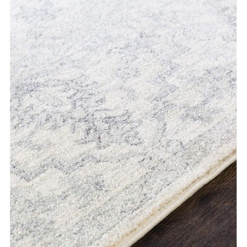  WorldWeavers Odelia Beige Updated Traditional Area Rug 27 x 73