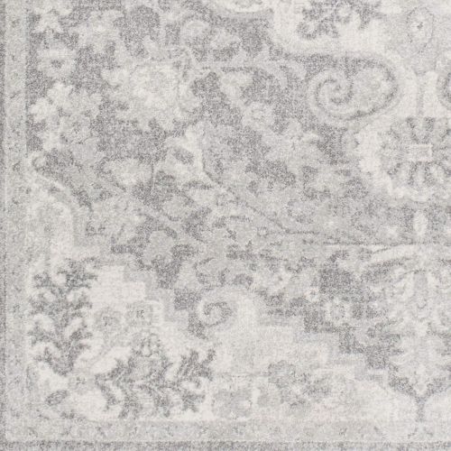  WorldWeavers Odelia Beige Updated Traditional Area Rug 27 x 73