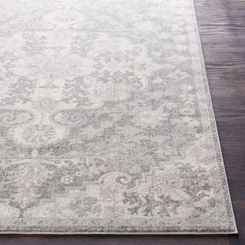  WorldWeavers Odelia Beige Updated Traditional Area Rug 27 x 73