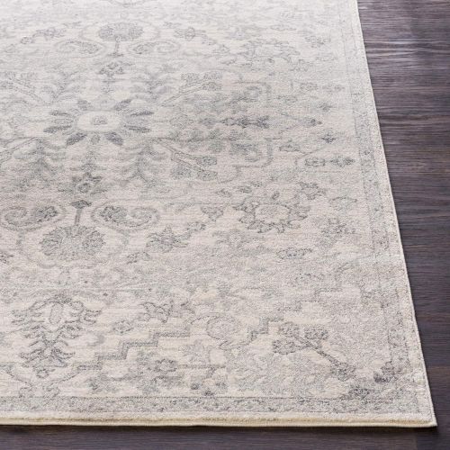  WorldWeavers Odelia Beige Updated Traditional Area Rug 27 x 73