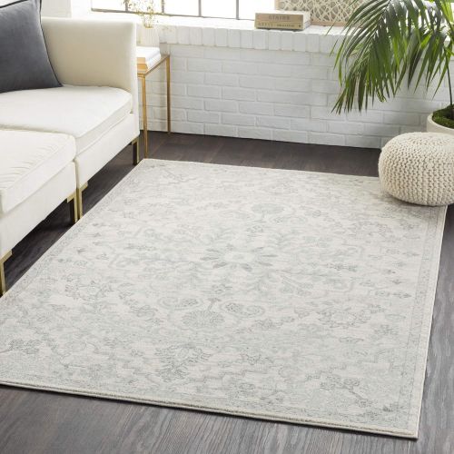  WorldWeavers Odelia Beige Updated Traditional Area Rug 27 x 73