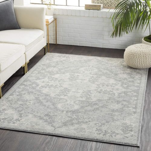  WorldWeavers Odelia Beige Updated Traditional Area Rug 27 x 73