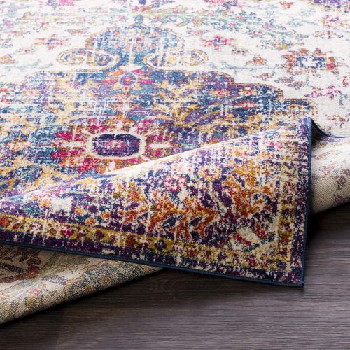  WorldWeavers Odelia Beige Updated Traditional Area Rug 27 x 73