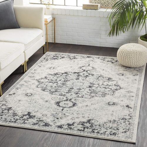  WorldWeavers Odelia Beige Updated Traditional Area Rug 27 x 73