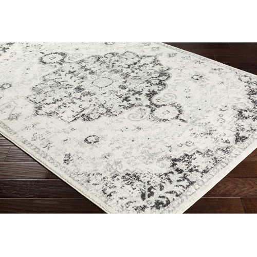  WorldWeavers Odelia Beige Updated Traditional Area Rug 27 x 73