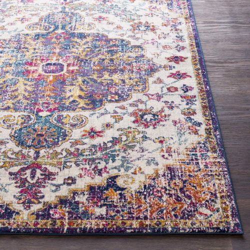  WorldWeavers Odelia Beige Updated Traditional Area Rug 27 x 73