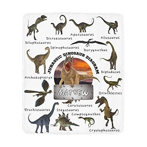  Artsadd Customized Dinosaur Blanket for Baby Girls Boys with Name Personalized Blankets for Room Decor Fuzzy and Warm Throw Blanket Birthday Gifts for Kids Adults 30x40