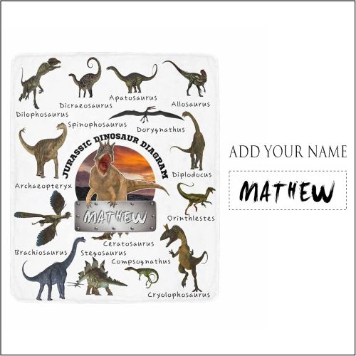  Artsadd Customized Dinosaur Blanket for Baby Girls Boys with Name Personalized Blankets for Room Decor Fuzzy and Warm Throw Blanket Birthday Gifts for Kids Adults 30x40