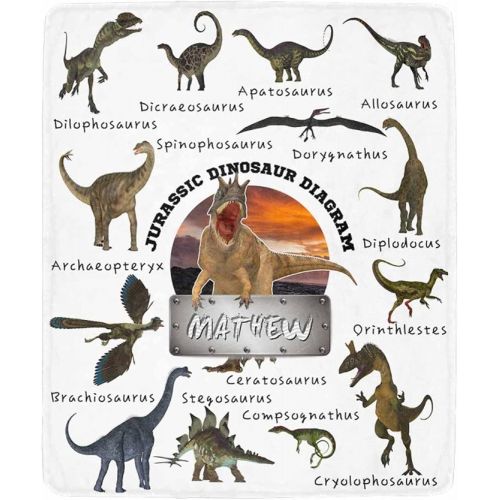  Artsadd Customized Dinosaur Blanket for Baby Girls Boys with Name Personalized Blankets for Room Decor Fuzzy and Warm Throw Blanket Birthday Gifts for Kids Adults 30x40