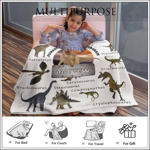  Artsadd Customized Dinosaur Blanket for Baby Girls Boys with Name Personalized Blankets for Room Decor Fuzzy and Warm Throw Blanket Birthday Gifts for Kids Adults 30x40