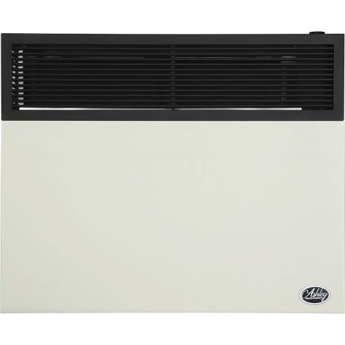  [아마존베스트]Ashley Hearth Products DVAG30N 25000 BTU Direct Vent Natural Gas Heater, Cream