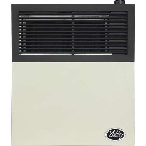  Ashley Hearth DVAG11N 11,000 BTU Direct Vent Natural Gas Heater, Cream