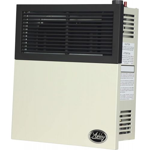  Ashley Hearth DVAG11N 11,000 BTU Direct Vent Natural Gas Heater, Cream