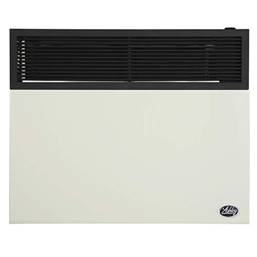  Ashley Hearth Products DVAG30L 25000 BTU Direct Vent Propane Heater, Cream