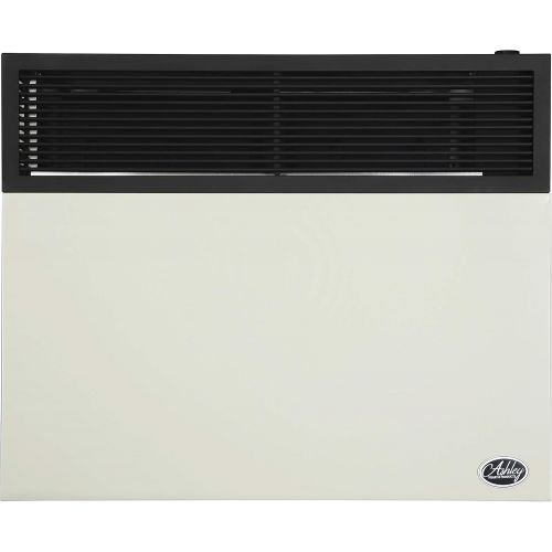  Ashley Hearth Products DVAG30L 25000 BTU Direct Vent Propane Heater, Cream