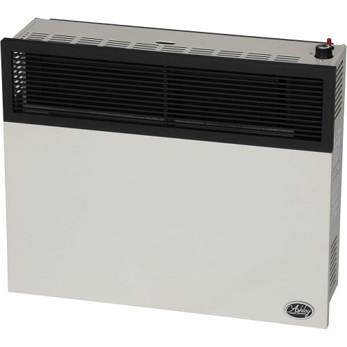  Ashley Hearth Products DVAG30L 25000 BTU Direct Vent Propane Heater, Cream