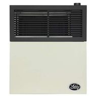 Ashley Hearth DVAG11N 11,000 BTU Direct Vent Natural Gas Heater, Cream