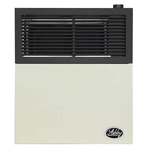  Ashley Hearth DVAG11N 11,000 BTU Direct Vent Natural Gas Heater, Cream