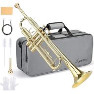 Asmuse Bb Standard Trumpet Set for Beginner, Brass Student Trumpet Instrument with Hard Case (Gold)