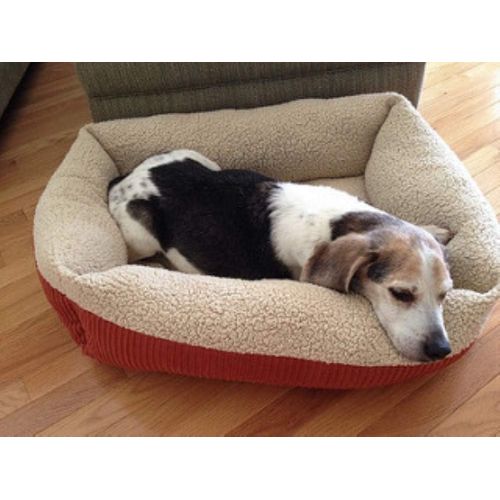  Aspen Pet Self Warming Beds