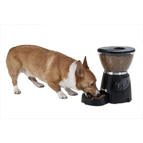  Aspen Pet Lebistro Programmable Food Dispenser