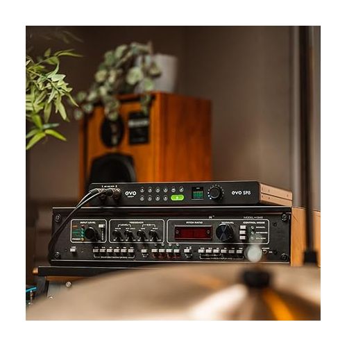  Audient EVO SP8 8-Channel Mic Pre Expansion with 8 ADAT Inputs/8 ADAT Outputs, for the Musician, Producer, or Engineer ? Includes 8 EVO Microphone Preamps with Smartgain